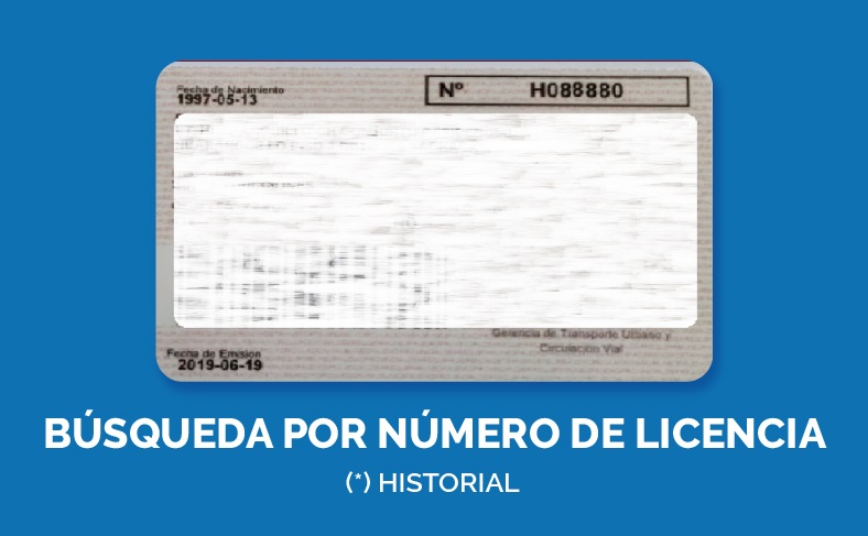 Búsqueda por Licencia